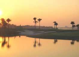 Tour Golf Miền Bắc Flamingo