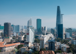 ХОШИМИН (полдня)