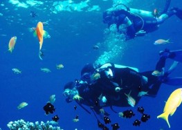 КРУИЗ ПО ЗАЛИВУ НЯЧАНГ