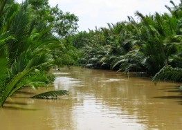 ДЕЛЬТА МЕКОНГА (1 день)