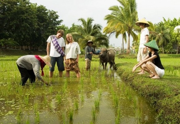 Vietnam welcomes 12.8 million foreign tourists in 10 months