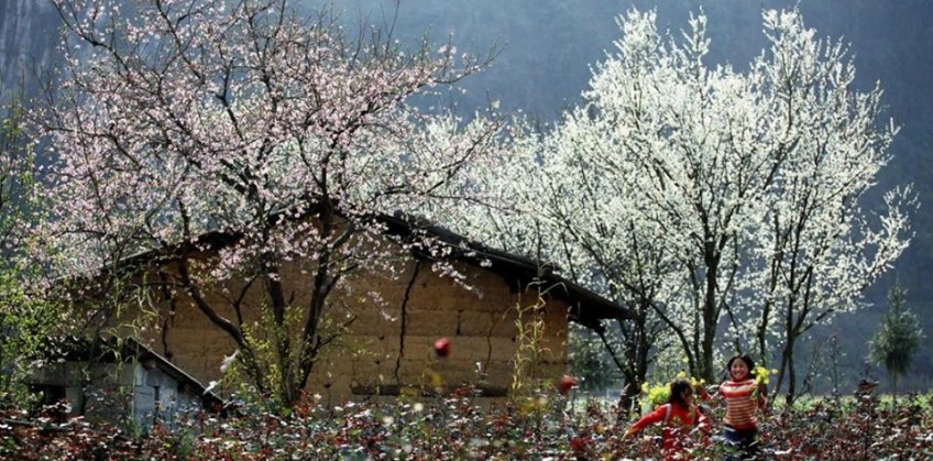 Tour Hà Nội - Hà Giang (3 ngày 2 đêm)