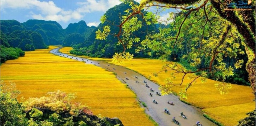 Tour Hà Nội - Tràng An - Bái Đính (1 ngày)